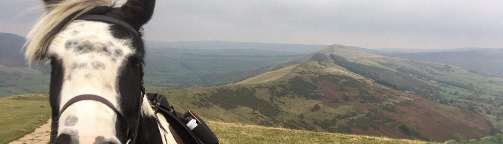 Trials of a Trail Riding Horse